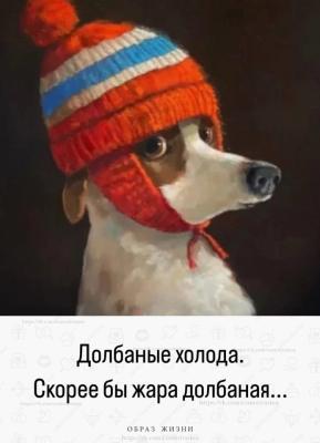 Прикрепленное изображение: 419225899_10219951576379318_1032522960099809559_n.jpg